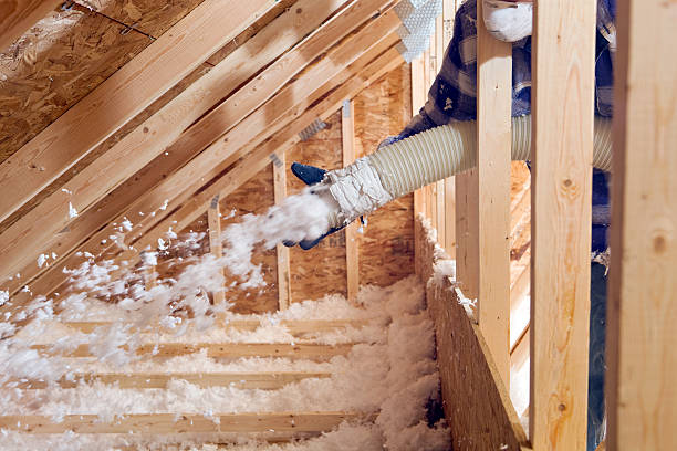 Best Garage Insulation in Rock Rapids, IA